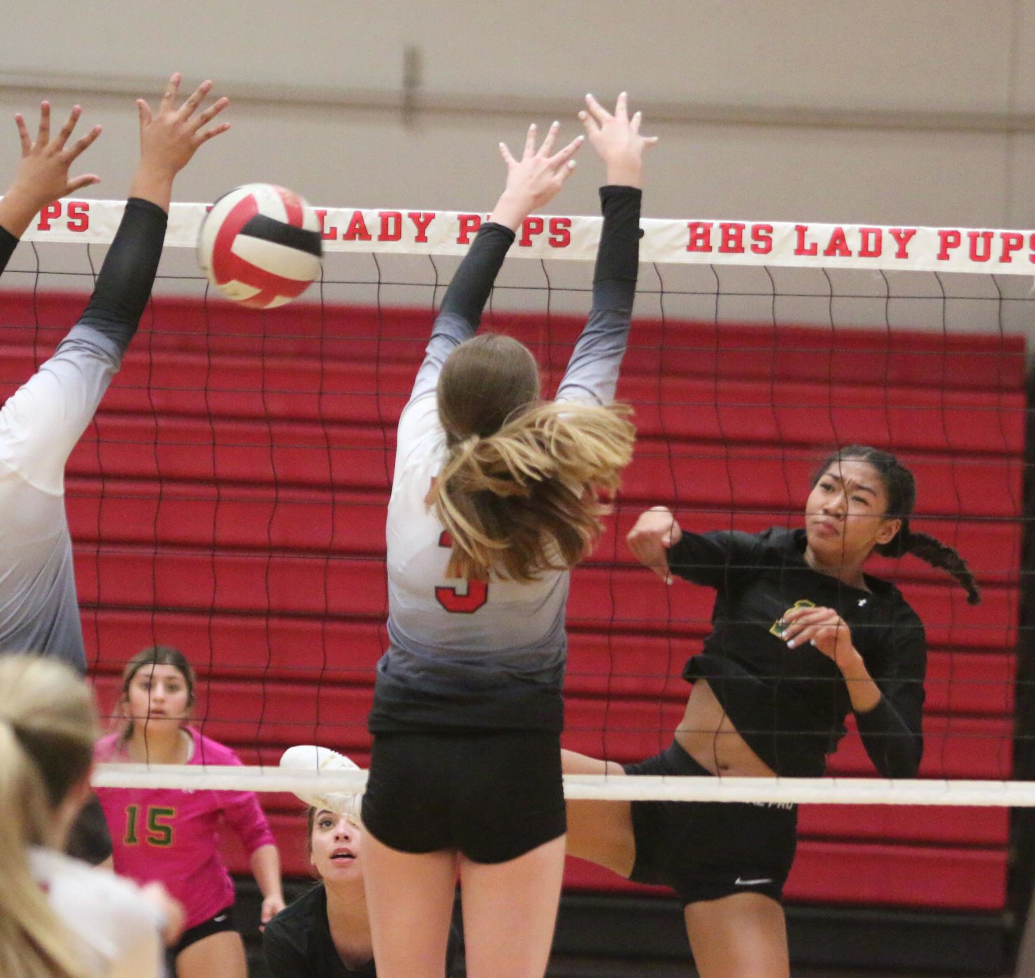 Golden Bears open season with victory over Bullpups